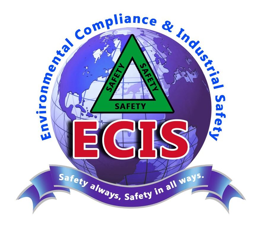 ECIS Safety Institute